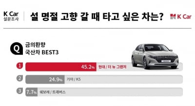 "고향길은 그랜저로"…설 명절 '금의환향' 차 1위