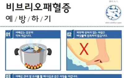 또 전염병…올해 첫 비브리오패혈증 환자 발생에 보건당국 '비상'