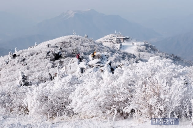 HK영상｜덕유산 설경의 아름다움, '겨울 산의 매력 속에 빠져보세요~'