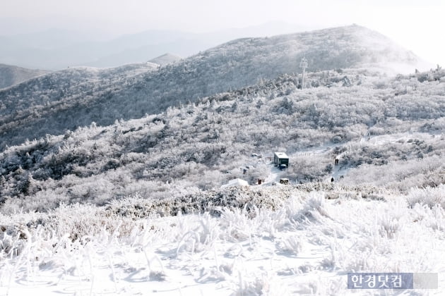 HK영상｜덕유산 설경의 아름다움, '겨울 산의 매력 속에 빠져보세요~'