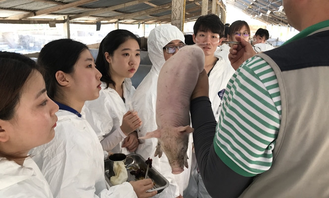 건국대 수의대 학생들, 라오스에서 동물의료 봉사활동