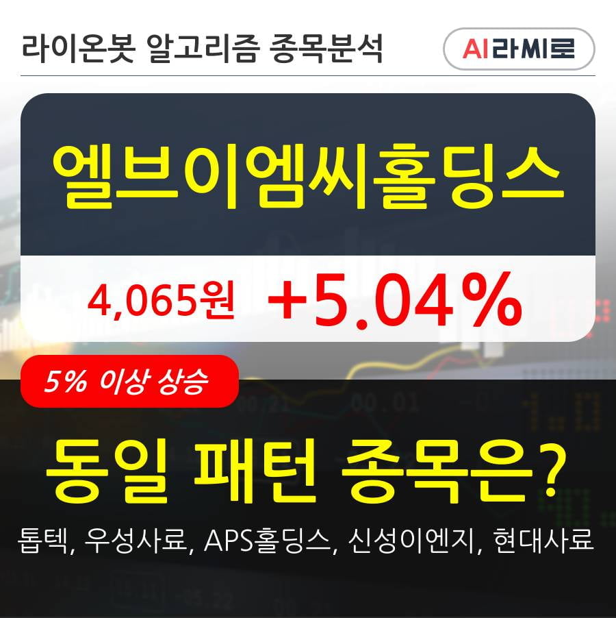 엘브이엠씨홀딩스