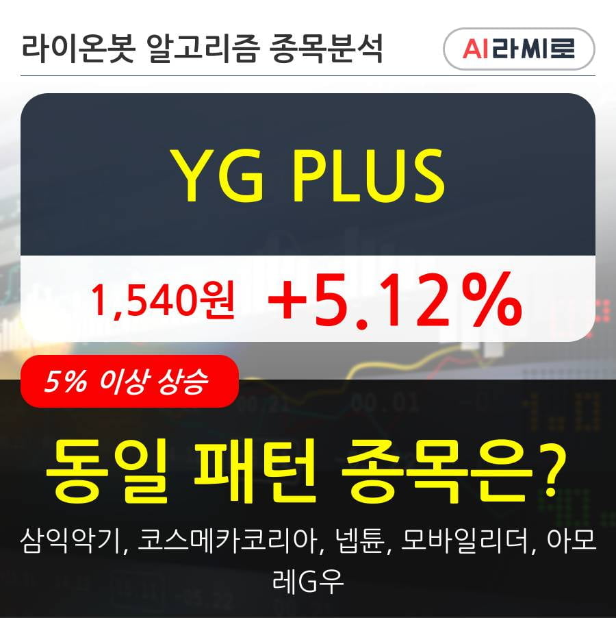 YG PLUS