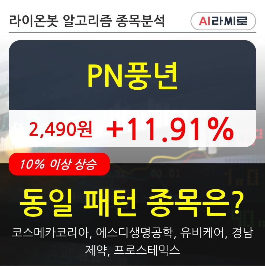 PN풍년