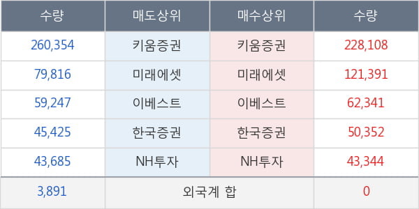 빛샘전자