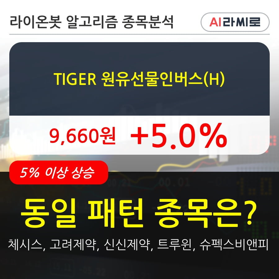 TIGER 원유선물인버스(H)