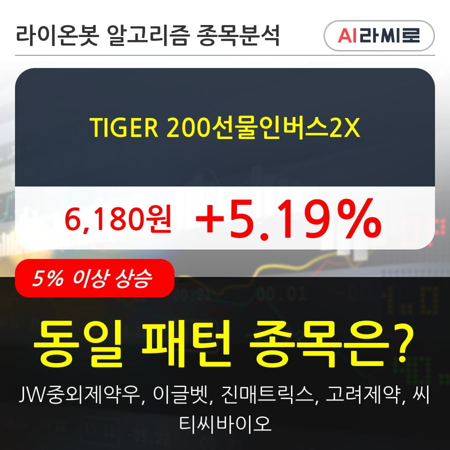 TIGER 200선물인버스2X