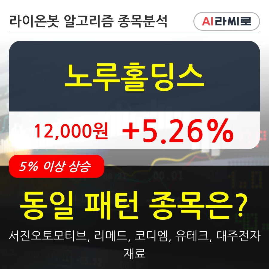 노루홀딩스