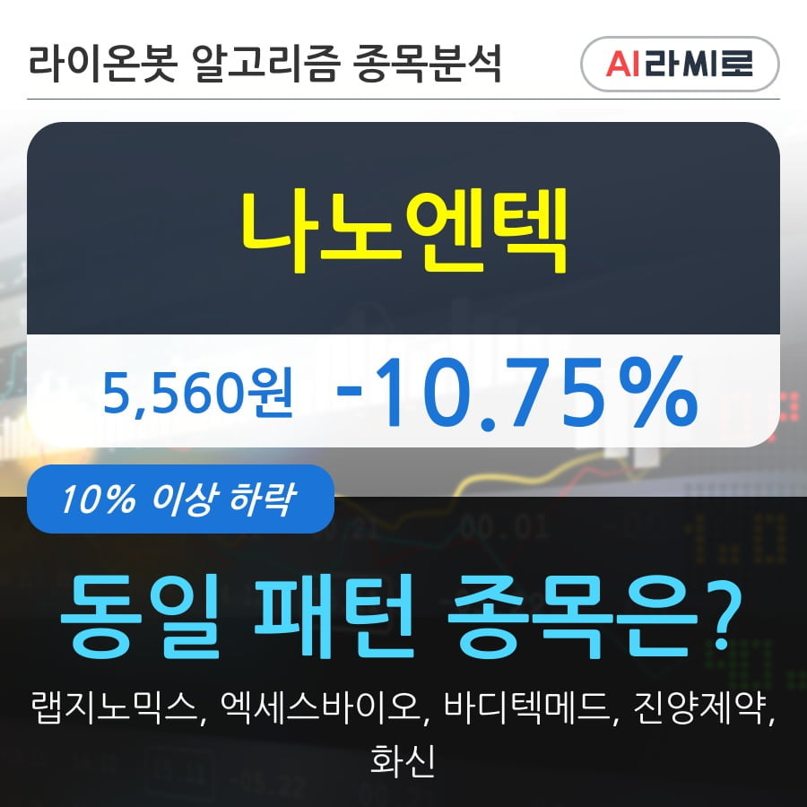 나노엔텍