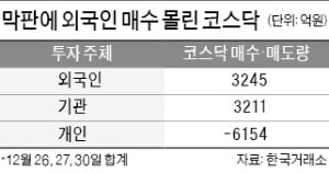 중소형株 막판 '불꽃'…올해 반등의 서막?