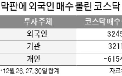 중소형株 막판 '불꽃'…올해 반등의 서막?