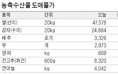 기온 영하로 뚝…출하량도 뚝, 채소·과일 가격 일제히 올랐다