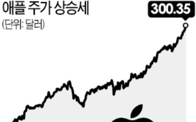 애플 주가 300弗 돌파…시총 1552조원