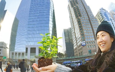 [새 출발 2020 금융산업] 저금리·저성장 가시밭길에도…금융산업 희망의 싹 틔운다