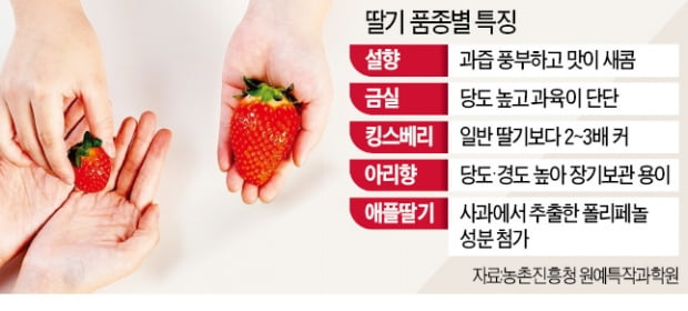 대형마트·편의점·호텔까지 '딸기 천하'