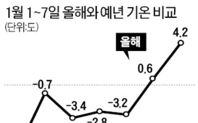 한강 결빙 '감감'·제주 아침기온 18도…역대급 '따뜻한 겨울' 왜?