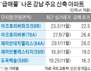 강남권 신축 아파트도 급매물, 12·16 효과…1억 안팎 떨어져