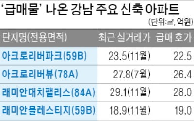 강남권 신축 아파트도 급매물, 12·16 효과…1억 안팎 떨어져