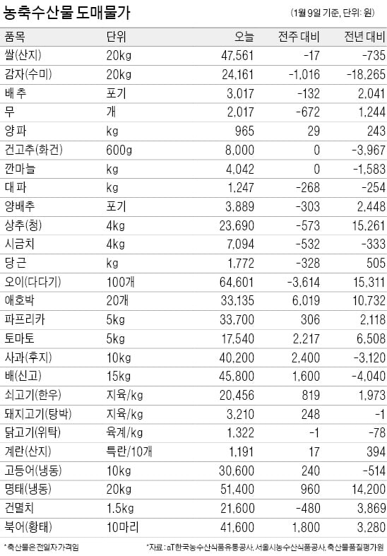 설 명절 2주 앞두고 제수용 과일·한우 가격 오름세