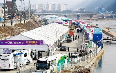 포근한 날씨…강원도 겨울축제 어쩌나