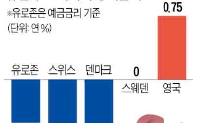 스웨덴 '마이너스 금리' 결국 포기…ECB는 "年 -1.0%까지 인하 여력"