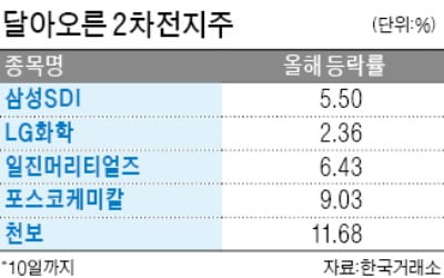 테슬라 유럽 공략에 韓 2차 전지주 '후끈'