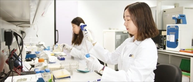 에이비엘바이오 연구원들이 경기 성남시 판교 본사 연구소에서 약물 실험을 하고 있다.   /에이비엘바이오 제공 