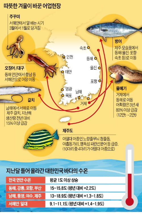 따뜻한 겨울·수상한 바다…魚라, 물고기 지도가 다 바뀌었네!