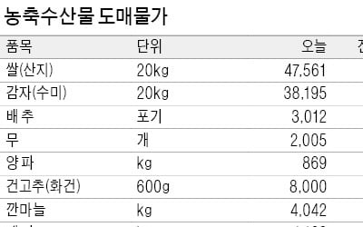 판매 부진·정부 비축물량 방출…설 선물·제수용품 가격 하락세