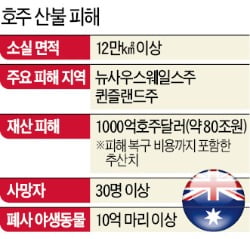 '온난화의 저주' 호주 산불…남한 면적 태우고 재산피해 80兆