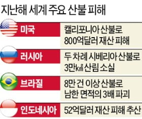 기후변화로 작년 브라질 산불만 8만건…美도 직간접 피해 92兆