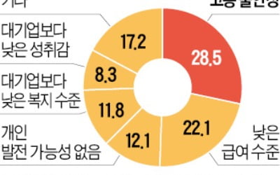 산업기능요원 축소·주 52시간 근무제 확대…'앞이 깜깜한' 中企