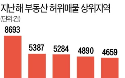 허위매물 신고 지난해 10만 건 돌파