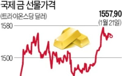 "올해 추천 자산은 金·株"…증시 랠리 속 뛰는 금값, 왜?