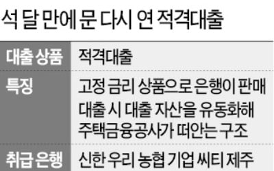 안심대출 후폭풍…적격대출 사실상 '개점휴업'