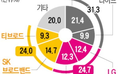 SK브로드밴드·티브로드 합병…새 법인 4월 30일 공식 출범