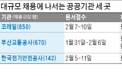 코레일·부산교통公·전기안전公 1662명 채용