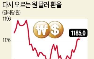 우한 폐렴에…돈 몰리는 '안전자산 5종세트'