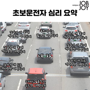 [카드뉴스] 초보운전자 심리 요약.jpg