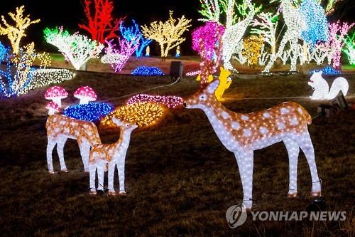 [#꿀잼여행] 호남권: 오색 별 빛나는 광양 느랭이골의 반짝반짝 겨울밤