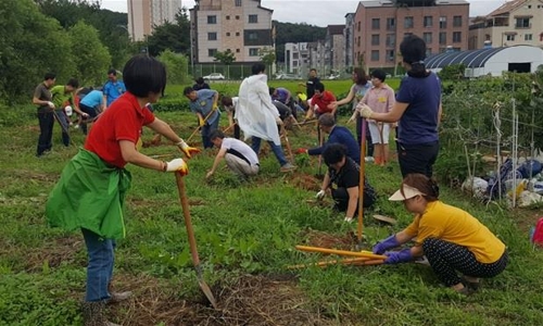 경기도, 도유지 6만4천㎡ 텃밭 조성…1만명에 분양