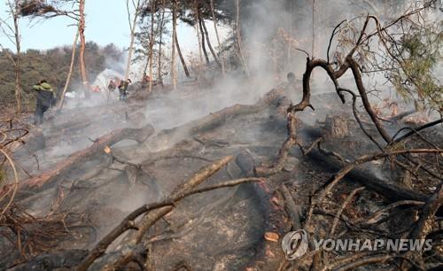 춘천 신북읍 야산 산불 하루 만에 진화…임야 등 7㏊ 소실