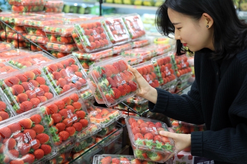 인스턴트 커피보다 많이 팔린 딸기…신품종이 매출 견인