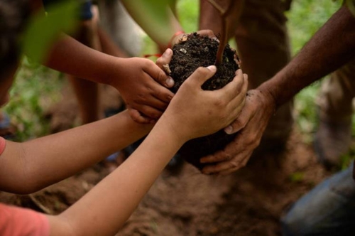 브라질 농민단체, '10년간 나무 1억 그루 심기' 캠페인 추진