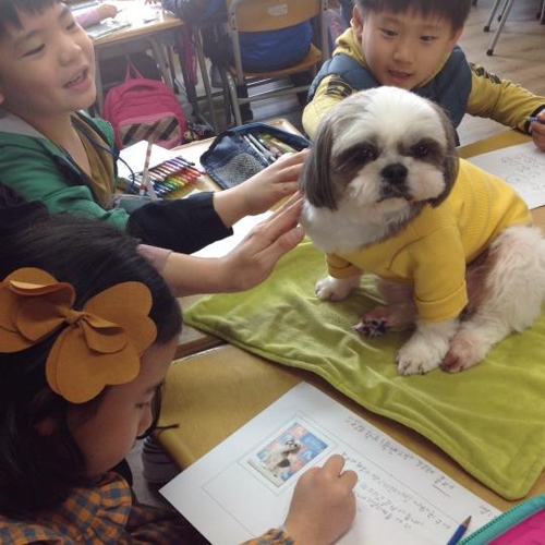 교실서 배우는 페티켓…울산 초등생 동물사랑 교육 확대
