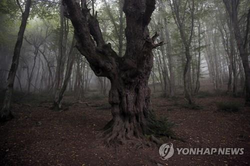 트럼프 "유적 파괴" 위협한 이란, 세계문화유산만 22곳