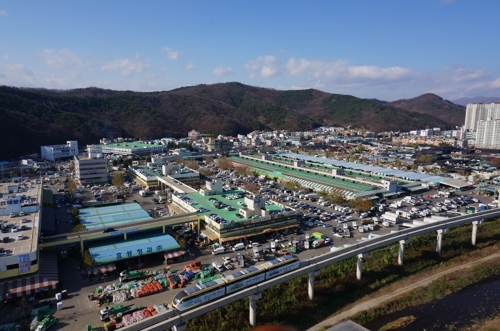 대구농수산물도매시장 4년 연속 거래금액 9천억원대