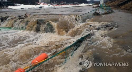 이례적인 겨울비…강원 1월 강수량 역대 최고 경신