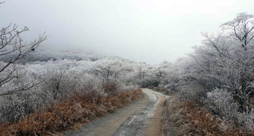[카메라뉴스] 변덕스러운 날씨에 무등산 얼음꽃 장관