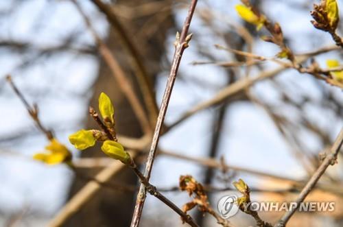 전북 일교차 큰 날씨…낮 기온 6∼8도